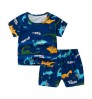 Boys Clothings Sets Kids boutique 2 Pcs Pure Cotton Short Sleeve Children Clothes Suit Summer Baby Clothings