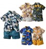 Hot Sale Cotton Toddler Kids Clothes 2pcs Clothing Sets Summer Short Sleeve Boys Suits