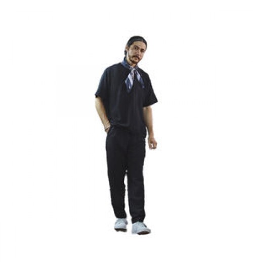 Japanese washable comfortable soft 100% silk dress t shirt men