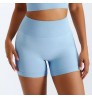 PT404 Custom LOGO Matching Nylon Yoga Workout Short Tights Seamless Gym Biker Women's Shorts